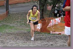 Gujan cross 28.11.09 02 472 * 640 x 427 * (135KB)